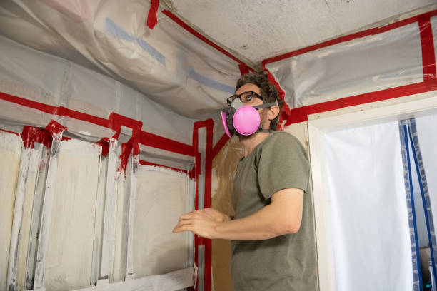 Best Black Mold Removal  in Kensington Park, FL