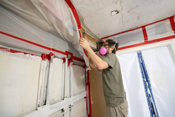 Best Mold Damage Restoration  in Kensington Park, FL